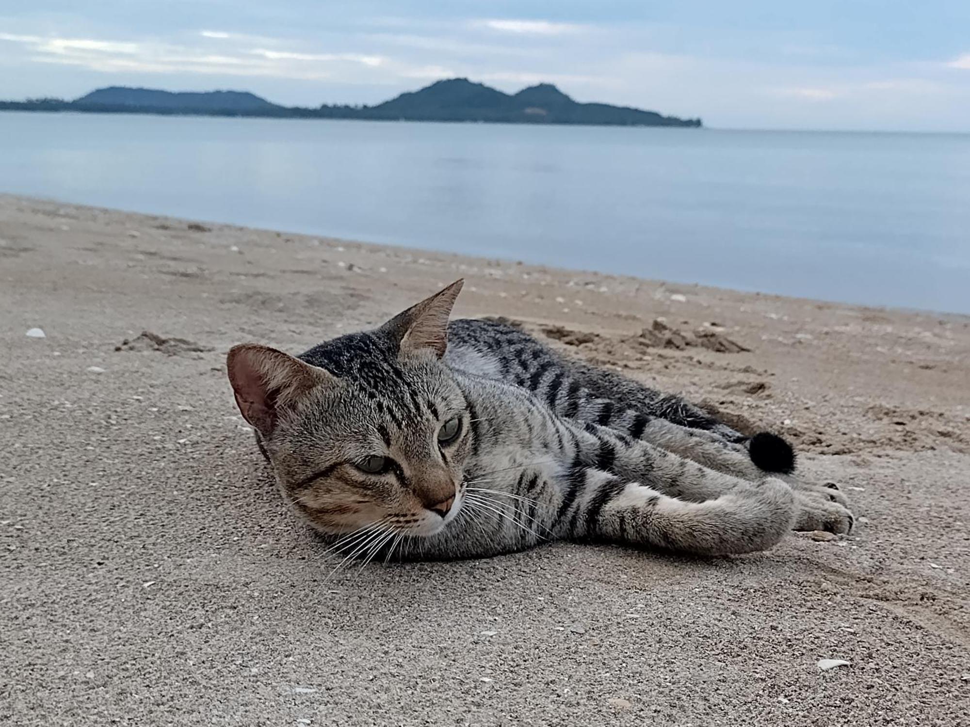 Ban Tawansongfa Hotel Lang Suan Buitenkant foto